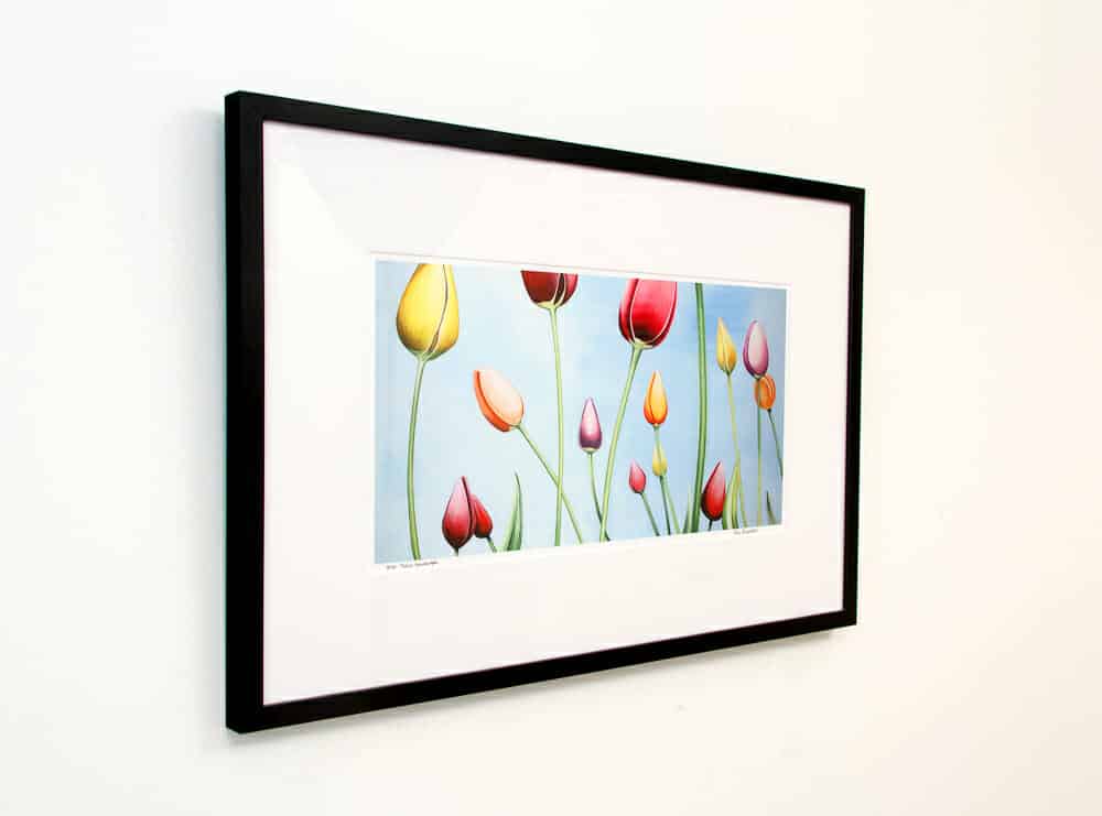 Limited Edition Tulip Landscape - black frame