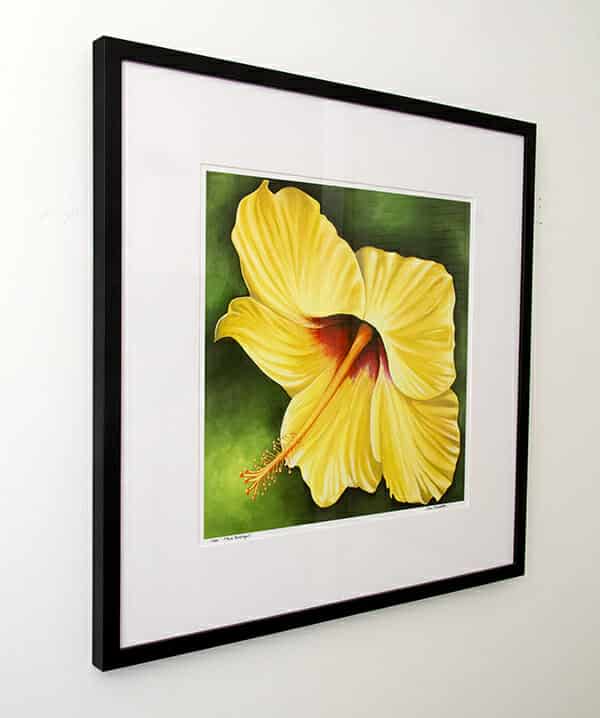 Pure Sunlight limited edition framed from left