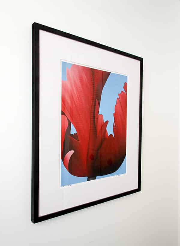 Red June framed limited edition from left