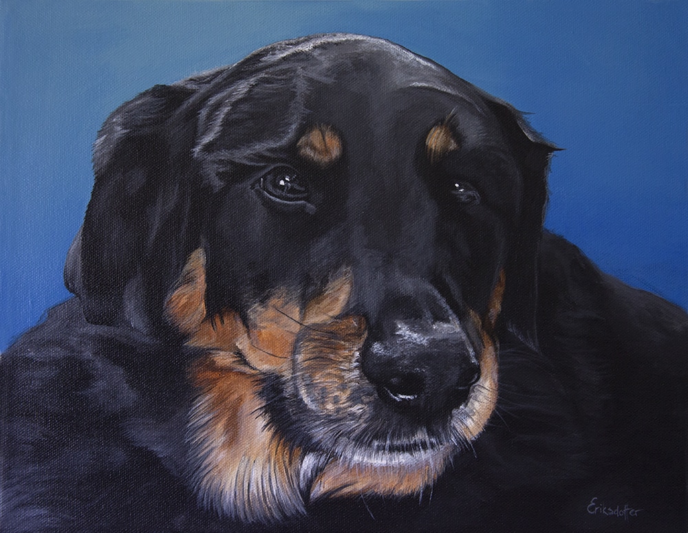 Custom pet portrait of a black and brown dog with soulful eyes against a blue background, painted by Erica Eriksdotter.